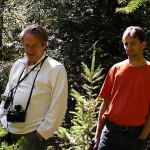 Media Eigenvectors – metamedia notes