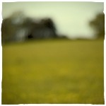 Heavenfield