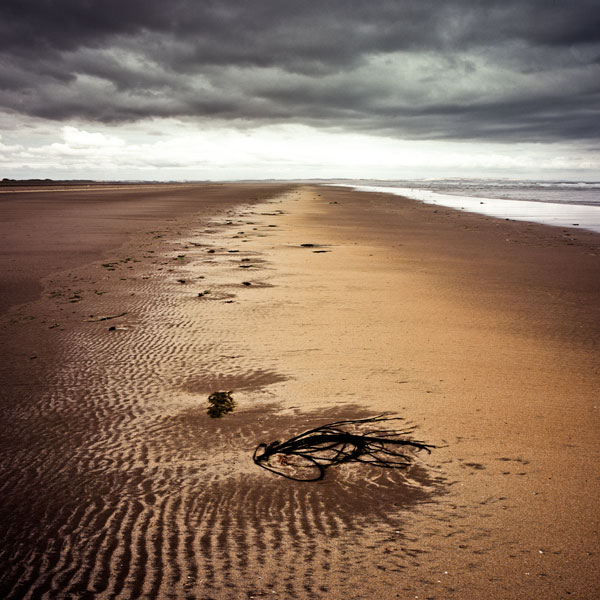 Lindisfarne-north