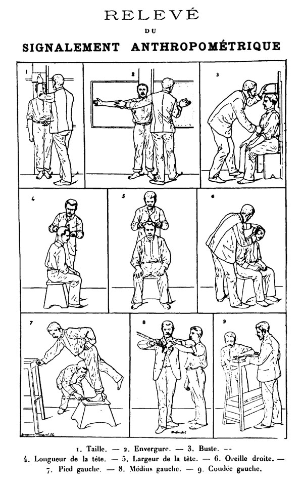 Bertillon-Signalement-Anthropometrique