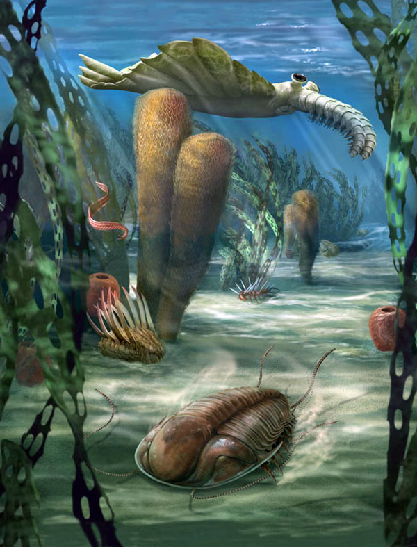Carr-Cambrian-Sea