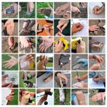35-hands-one-paw